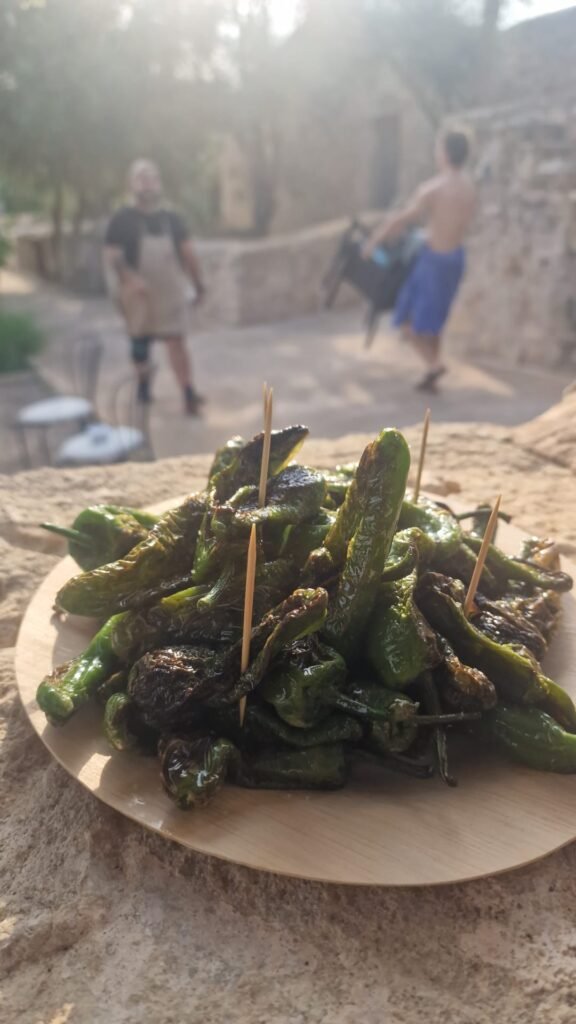 WhatsApp Image 2025-10-14 at 12.11.03 (1)