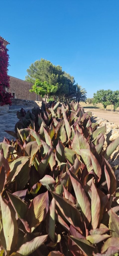 WhatsApp Image 2025-10-14 at 12.21.27 (4)