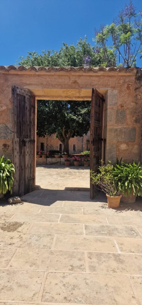 WhatsApp Image 2025-10-14 at 12.21.27 (7)