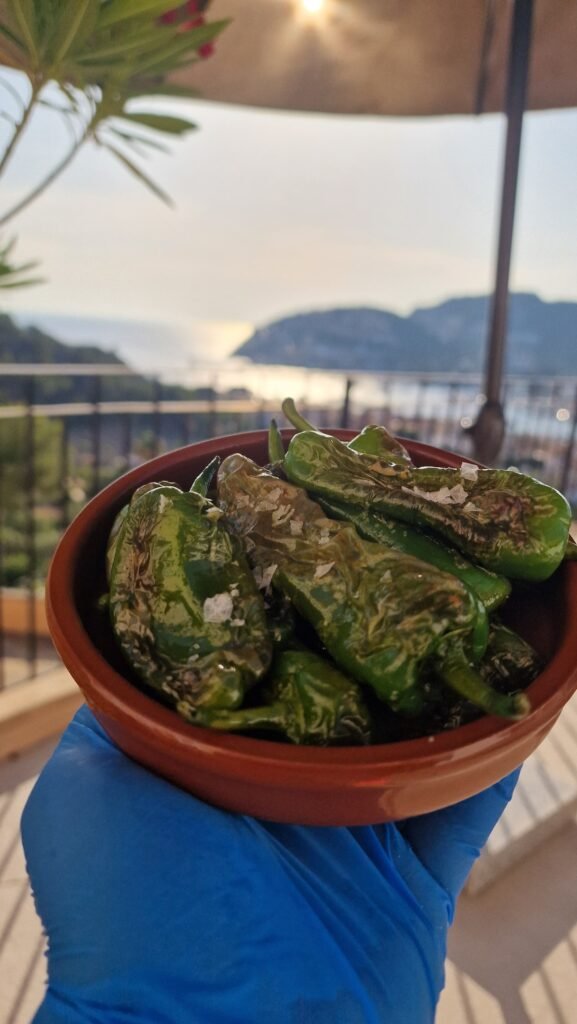 WhatsApp Image 2025-10-14 at 12.21.28 (10)